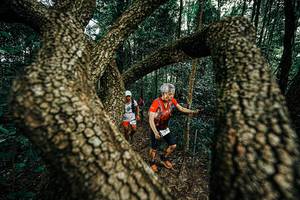 BIB: 
                            <button type="button" onclick="openModal(25393681)" class="btn btn-primary btn-sm float-right btn-popup" data-toggle="modal" data-target=".modal-high-quality">
                        <i class="fas fa-shopping-cart"></i> Add to Cart
                    </button>
                                            <button type="button" onclick="isThisMe(25393681, true)" class="btn btn-success btn-sm float-right btn-popup btn-isme hidden" data-toggle="tooltip" data-placement="bottom" title="นี่คือรูปของคุณใช่ไหม คลิกที่นี่เพื่อเอาเข้าอัลบั้ม">
                        <i class="fas fa-plus"></i> Add to album
                    </button>
                    <button type="button" onclick="isThisMe(25393681, false)" class="btn btn-warning btn-sm float-right btn-popup btn-isnotme hidden">
                        <i class="fas fa-ban"></i> Remove from album
                    </button>